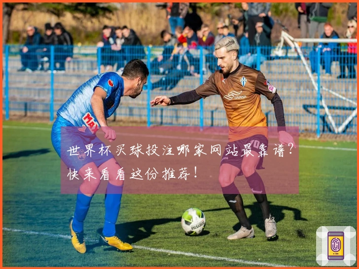 世界杯买球投注哪家网站最靠谱？快来看看这份推荐！