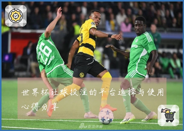 世界杯让球投注的平台选择与使用心得分享